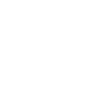 s4_icon
